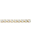 Maxima Chaton Kesselkette ss18 (4,4mm), Siam F, Gold